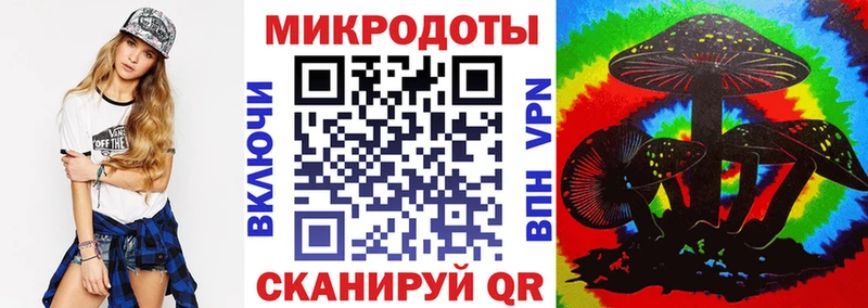 Купить где  Северская  Галлюциногенные грибы GOLDEN TEACHER 